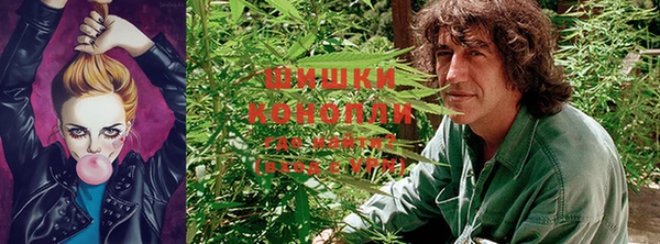каннабис Абаза