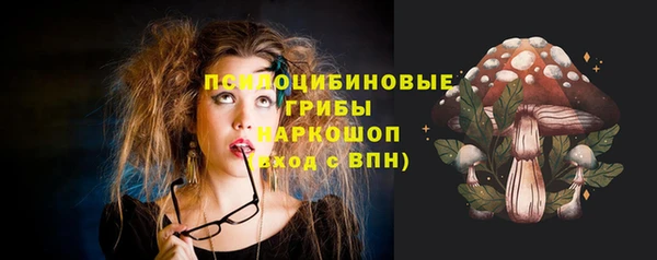 ГАЛЛЮЦИНОГЕННЫЕ ГРИБЫ Абдулино