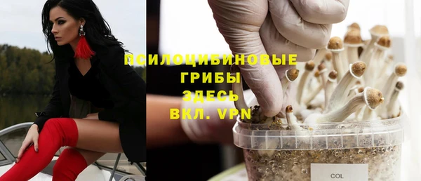 ГАЛЛЮЦИНОГЕННЫЕ ГРИБЫ Абдулино