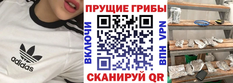 закладки  Каменск-Шахтинский  blacksprut ссылка  Псилоцибиновые грибы прущие грибы 